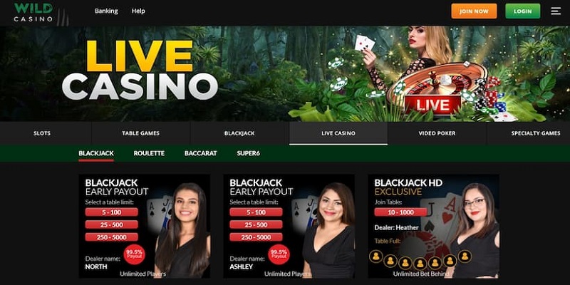 15 Live Dealer Casinos Online